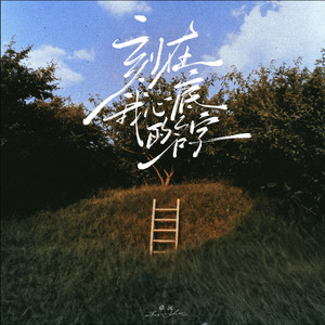 在线玩王者荣耀
