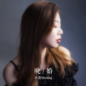 在线玩王者荣耀
