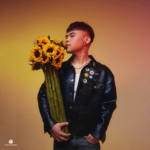 在线玩王者荣耀
