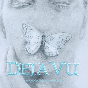 纳屋宠物饲养公寓1-5
