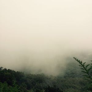 在线玩王者荣耀
