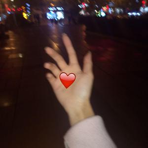 纳屋宠物饲养公寓1-5
